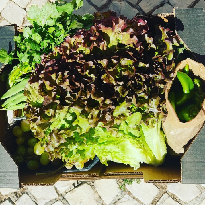 459030682_907941338029944_8117950724848855692_n.jp