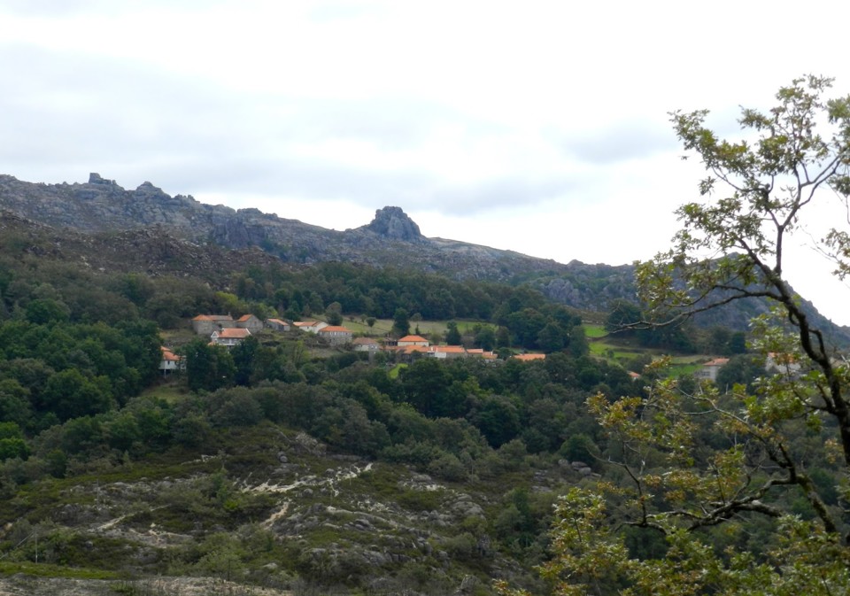 935 c 4-125-Ameijoeira-195.JPG