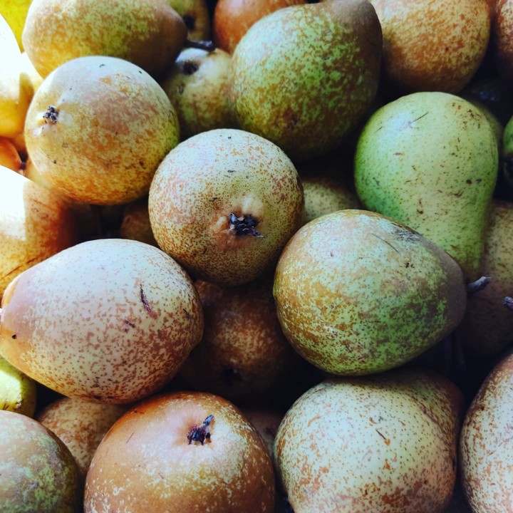 132544084_1906733402799745_5593586744735554626_o.j