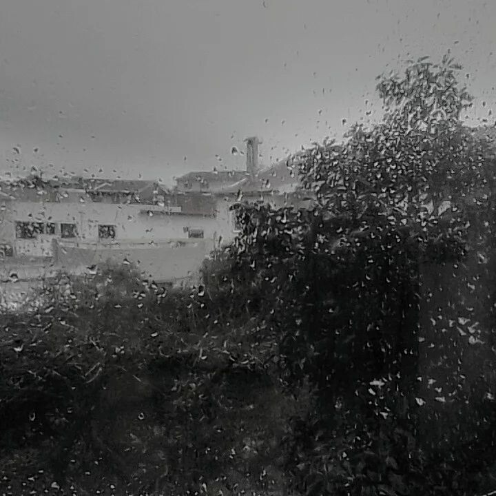 262411131_4729902937041236_7829659764373362016_n.j