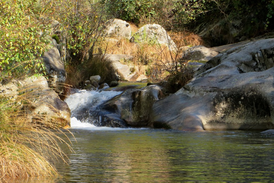 IMG_4717.JPG IMG_4717.JPG