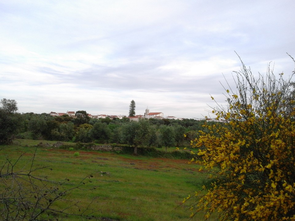 Foto Original. Aldeia. 2019. jpg