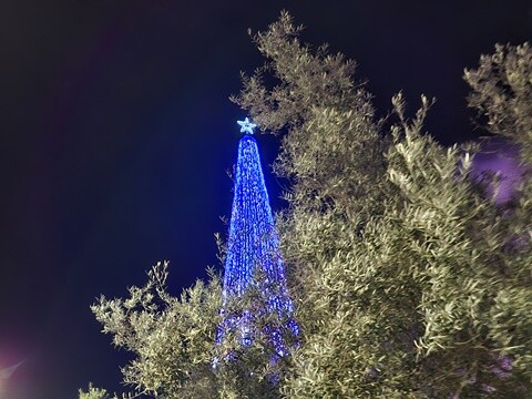 28b_Inauguração_Iluminações_de_Natal_OAz (32).