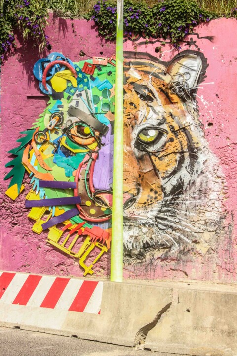 bordal II half tiger.jpg