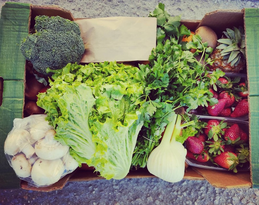 163505148_1979184708887947_8106623626032794176_o.j