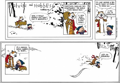 last calvin-hobbes.jpg
