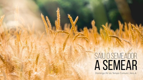 Domingo XV do Tempo Comum, ano A.jpg