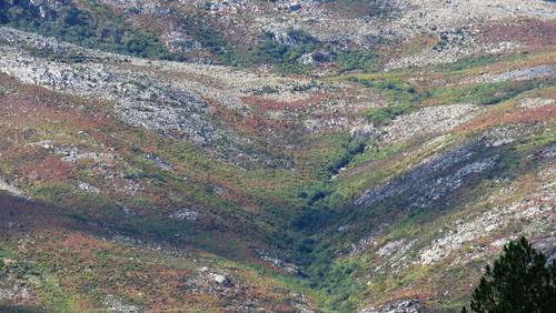 2017-09-15 15-15-35_0144.jpg