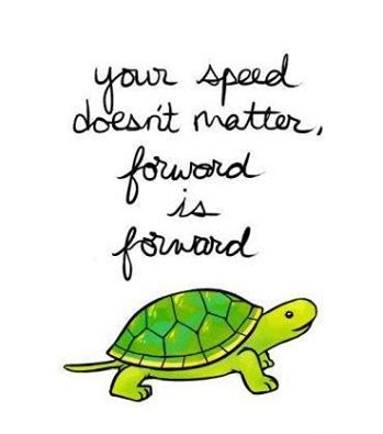 13938377_10153738096610373_142997460117649126_n.jp