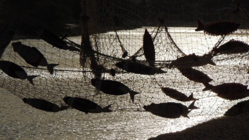 22042020_1675646572459712_4900383298792740741_o.jp