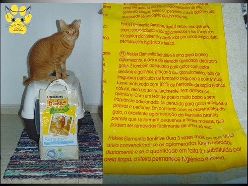 areia sensitivegatos.jpg