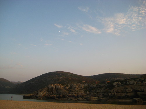 IMG_8794.JPG IMG_8794.JPG