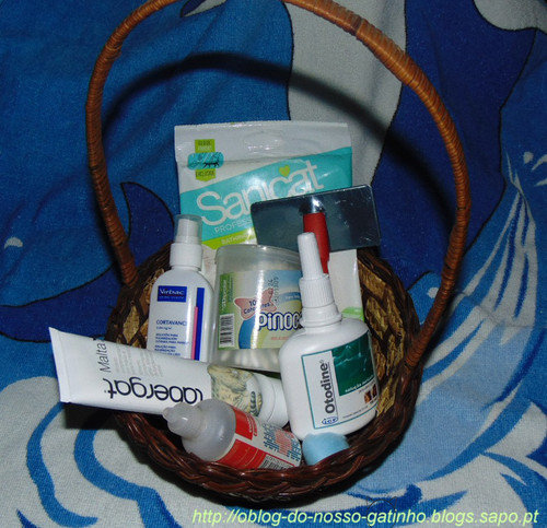 cestinhodoriscas.JPG