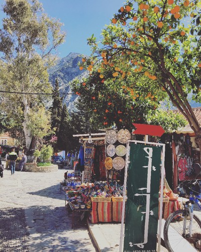 IMG_6584.JPG IMG_6584.JPG