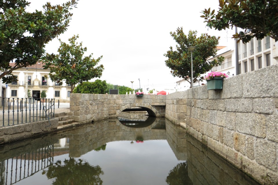 IMG_3236.JPG IMG_3236.JPG