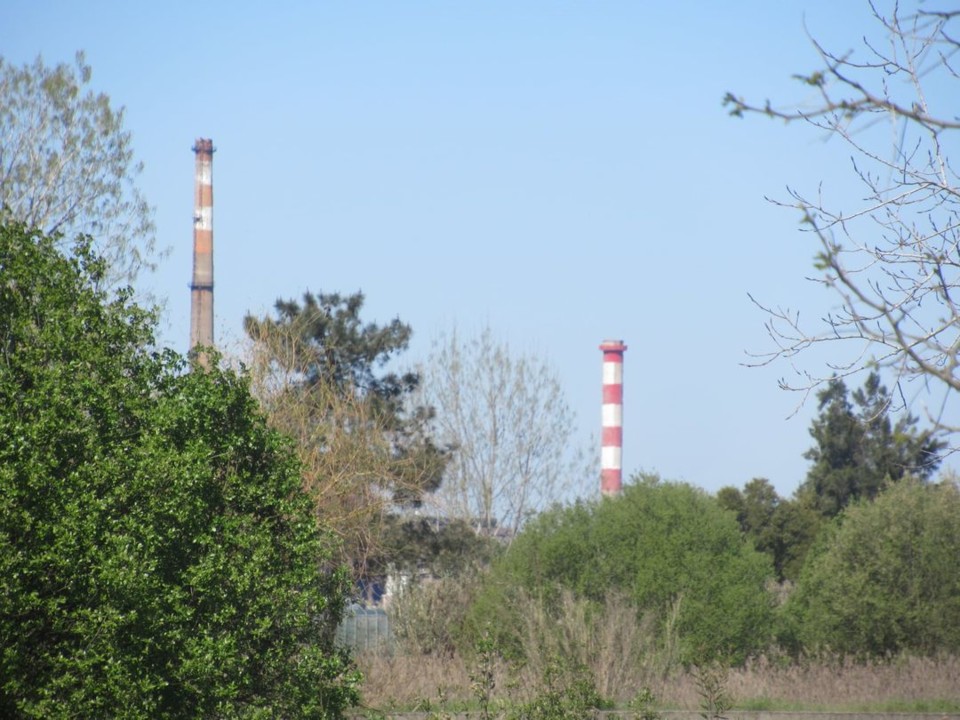 167675563_10221443700260535_4789825057729217633_n.