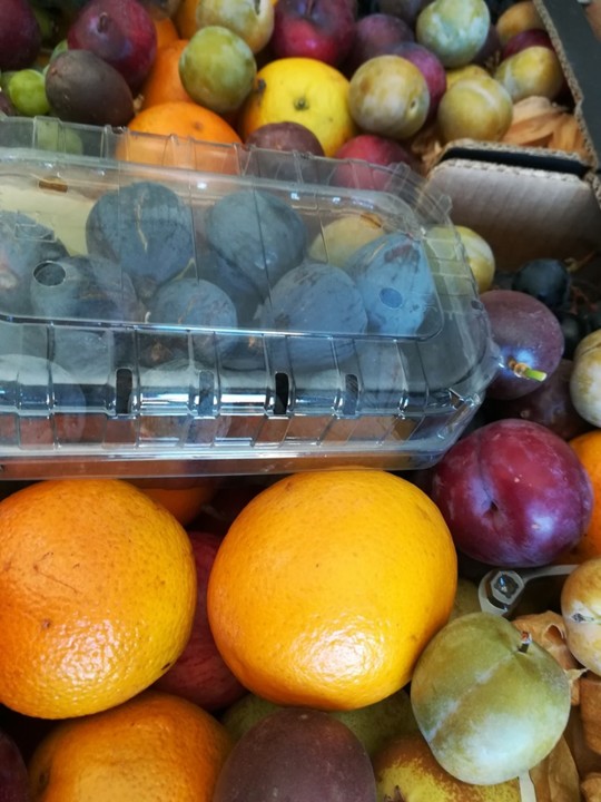 70875495_1460678840738539_5536753911639048192_n.jp