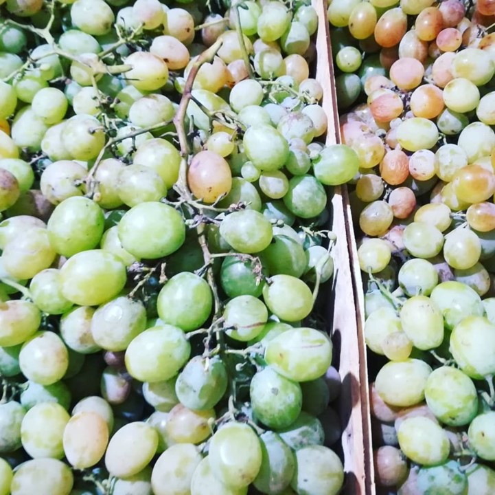 71810828_1482899998516423_3156647984414851072_n.jp 71810828_1482899998516423_3156647984414851072_n.jp