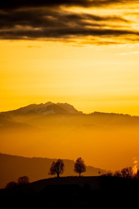 Mão vazio, Roberto Gamito