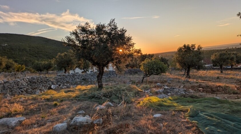 Screenshot_2025-10-14-14-25-45-052-edit_com.androi