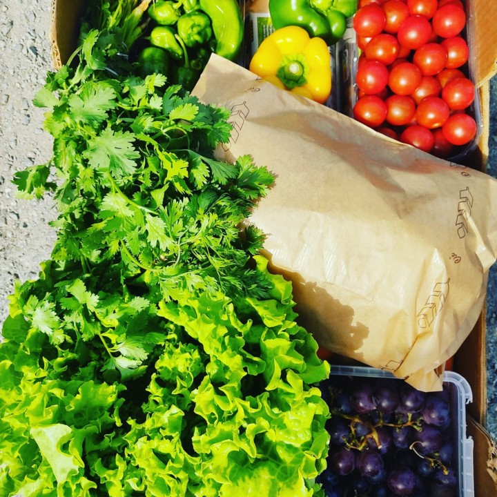 234238719_2094168697389547_5025517494344738443_n.j