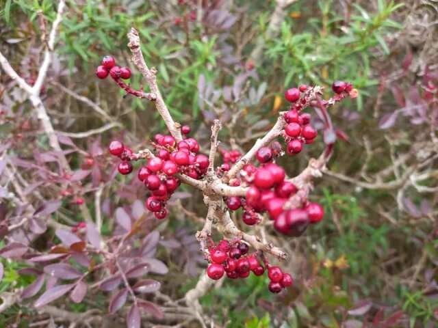 332297709_1630062707441201_6500723460514674335_n.j