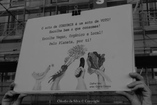 53698505_1986117348177954_7947791454594662400_o.jp