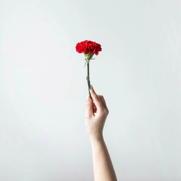 492399115_24247656091503900_2141259624780622197_n.