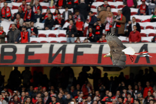 _JPT0355.jpg _JPT0355.jpg