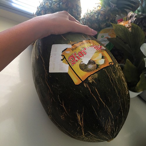 IMG_7668.JPG IMG_7668.JPG