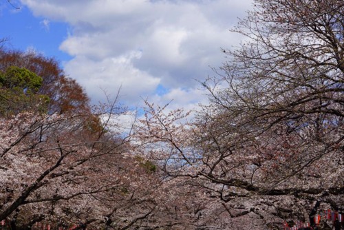 29542908_10216094708750560_1861582376919219369_n.j