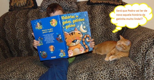 leiturafelinainfantil.JPG