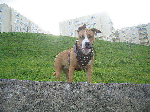 2 - kaya 2 (6).jpg 2 - kaya 2 (6).jpg