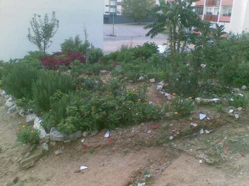 Jardim de Dona Vanda 1. Foto de F.M.C.L. Jardim de Dona Vanda 1. Foto de F.M.C.L.