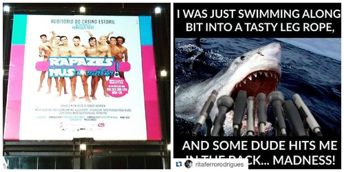 instagramei julho 2.jpg