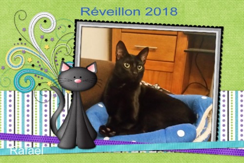 revellion2018.jpg revellion2018.jpg