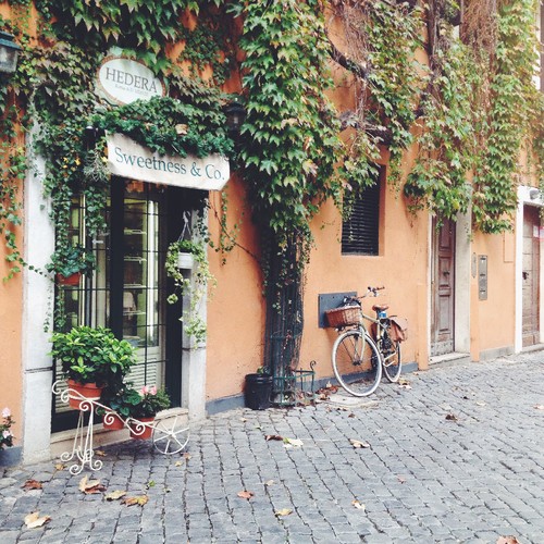 IMG_3507.JPG IMG_3507.JPG