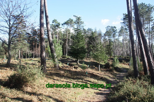 Biodiversidade_Freita_03.JPG Biodiversidade_Freita_03.JPG