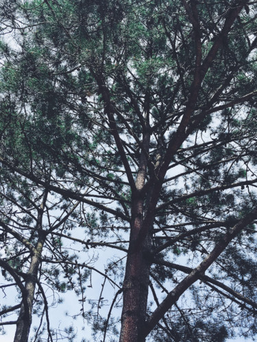 unnamed.jpg unnamed.jpg