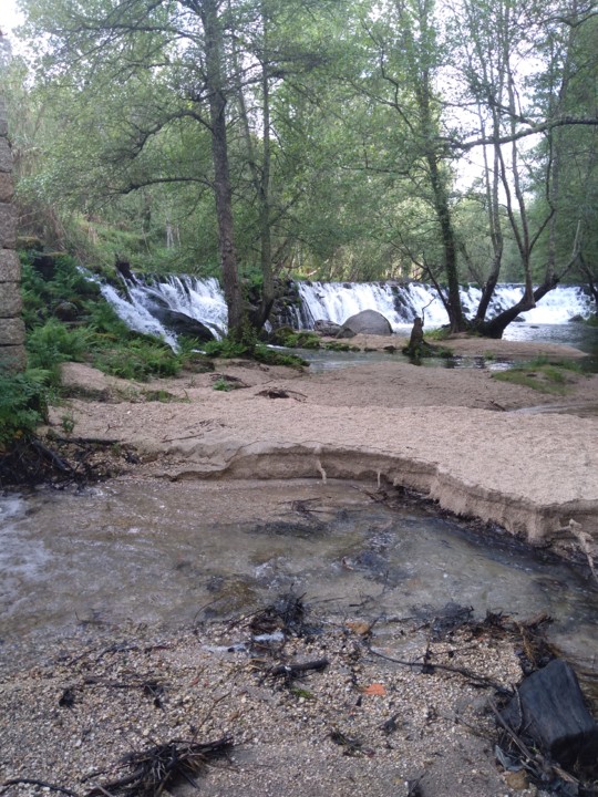 IMG_20210402_111250.jpg IMG_20210402_111250.jpg