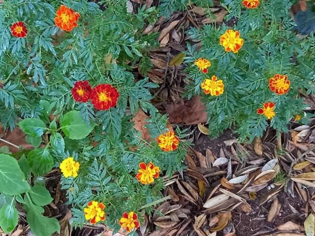 258713449_882046719161914_7395335182770743457_n.jp