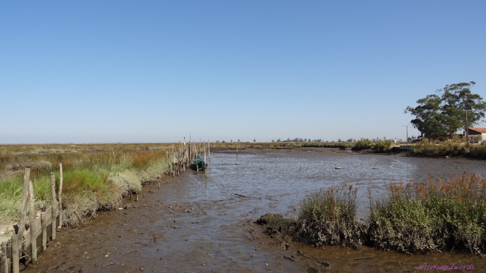 DSC07938.JPG DSC07938.JPG