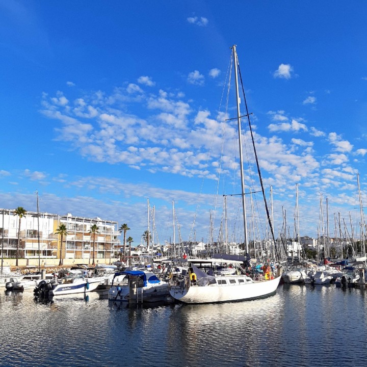 D92Q8guXUAAsV3E.jpg_large