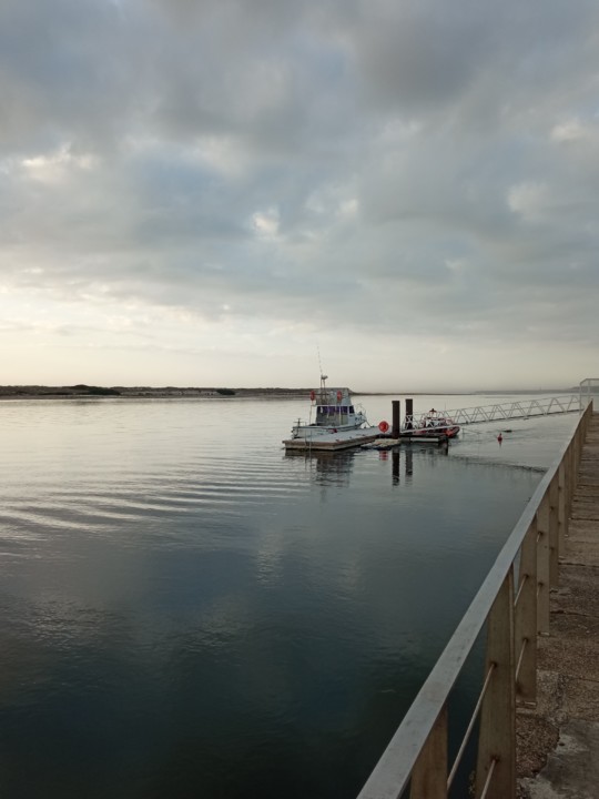 IMG_20201113_161008 (2).jpg