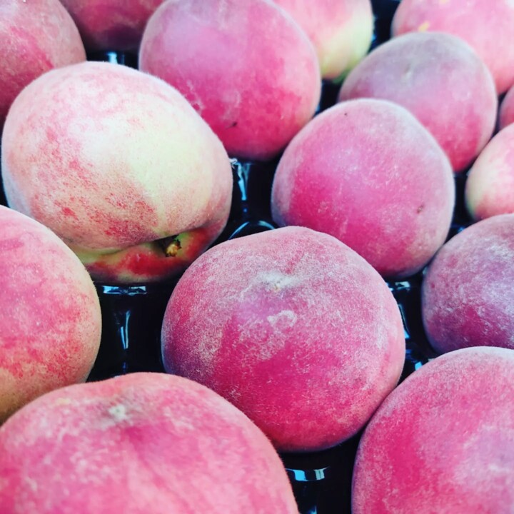 502047645_18480983965066958_357169163677311850_n.j