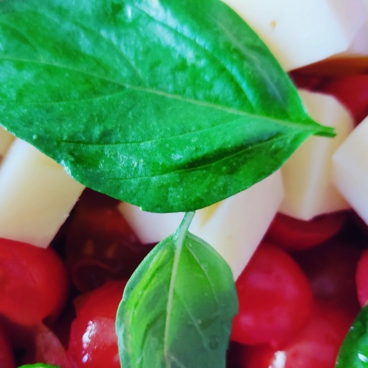 119650003_1814208868718866_2219190709344234362_o.j