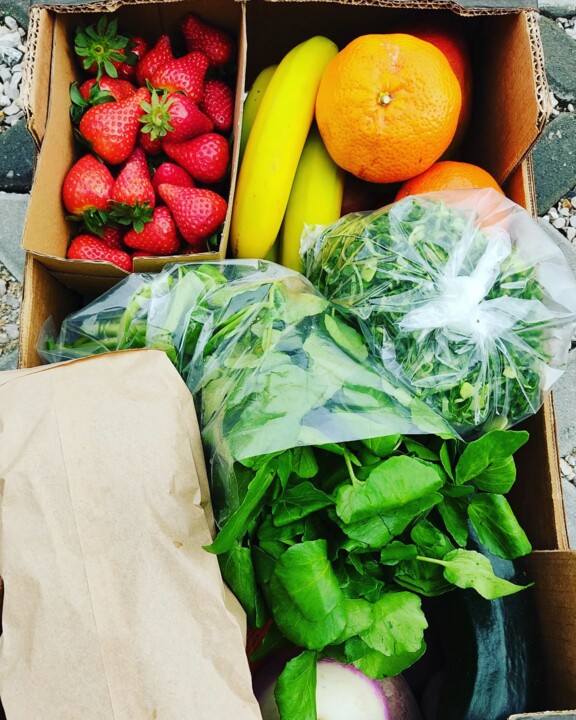 336173452_1561893740998816_231627425074221625_n.jp