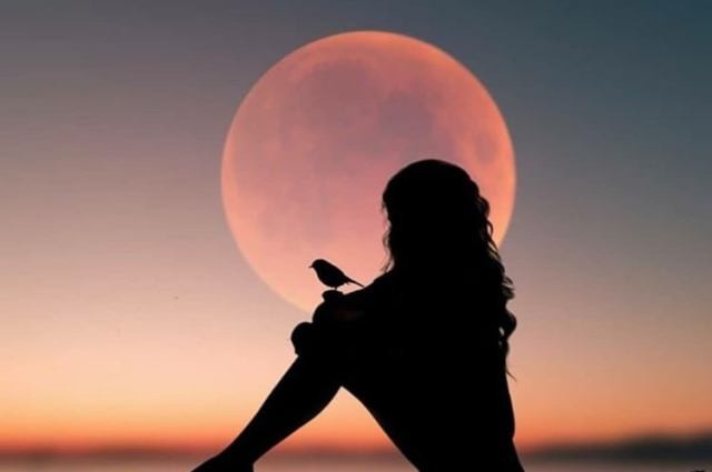 imagem-texto-universo.jpg imagem-texto-universo.jpg