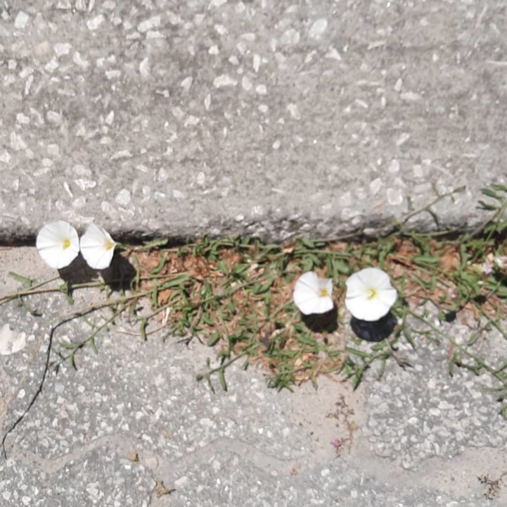 209823769_10222027838863635_5838626944843513644_n.