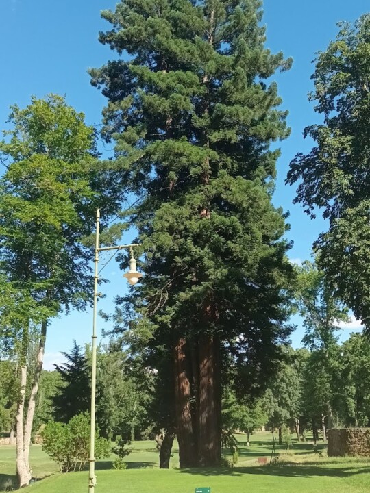 Não me canso disto Vidago4.jpg